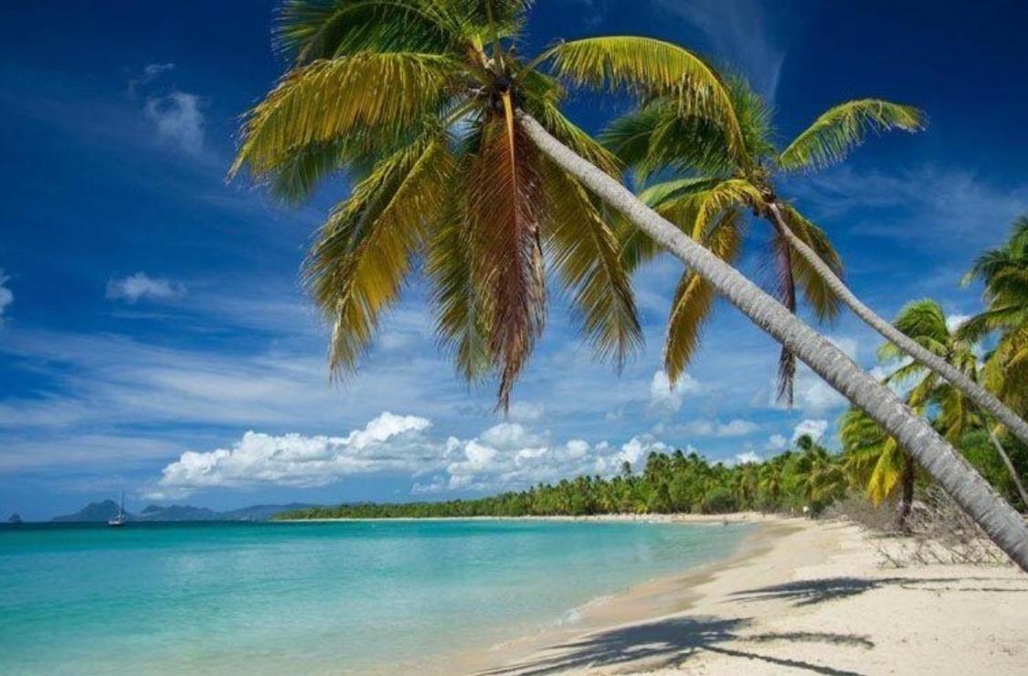 Residence Plage Des Salines Sainte-Anne Exterior foto
